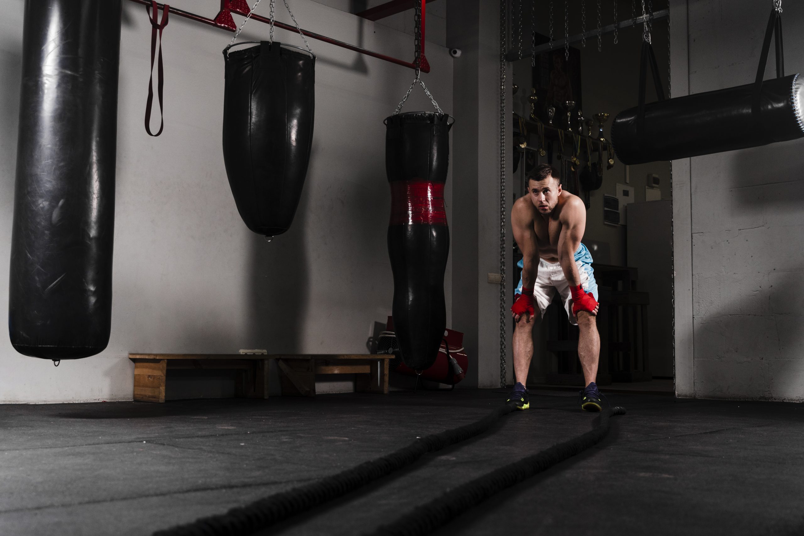 strong male boxer training competition